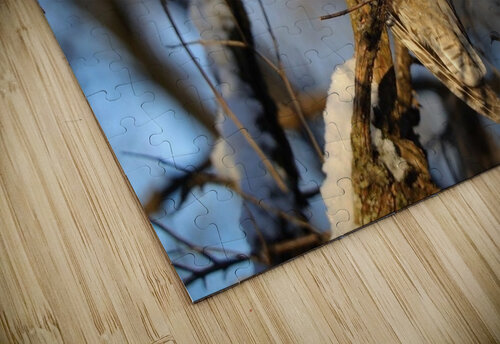 Frozen LEOW Witch puzzle