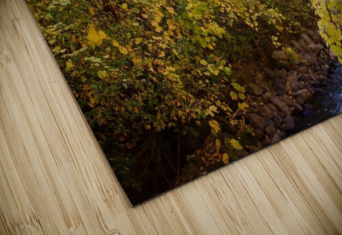 Fall. Minnehaha Falls. Witch puzzle