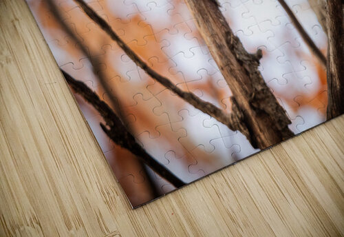 Fall Barred Owl Witch puzzle