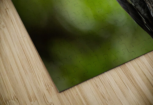 Pileated Punch Witch puzzle