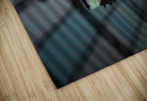 Conservatory Witch puzzle