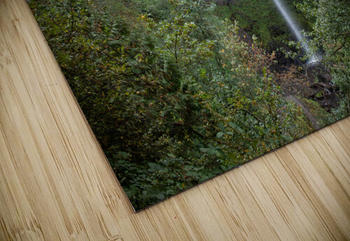 Latourell Falls  Witch puzzle