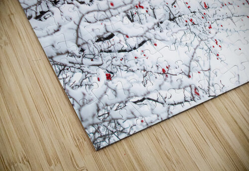 Winter Colors Witch puzzle