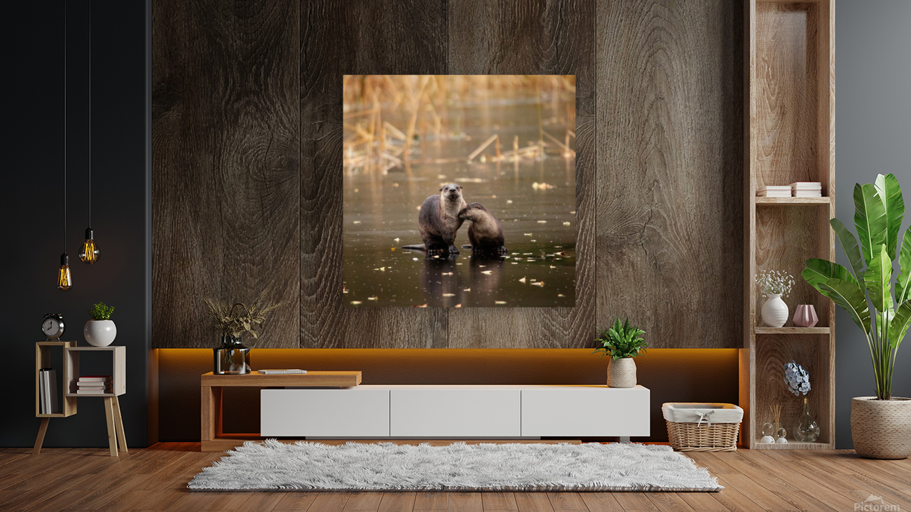 Otterly Love Reproduction