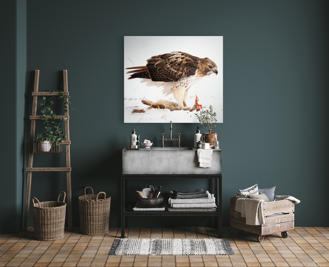 Redtail and Rabbit Reproduction