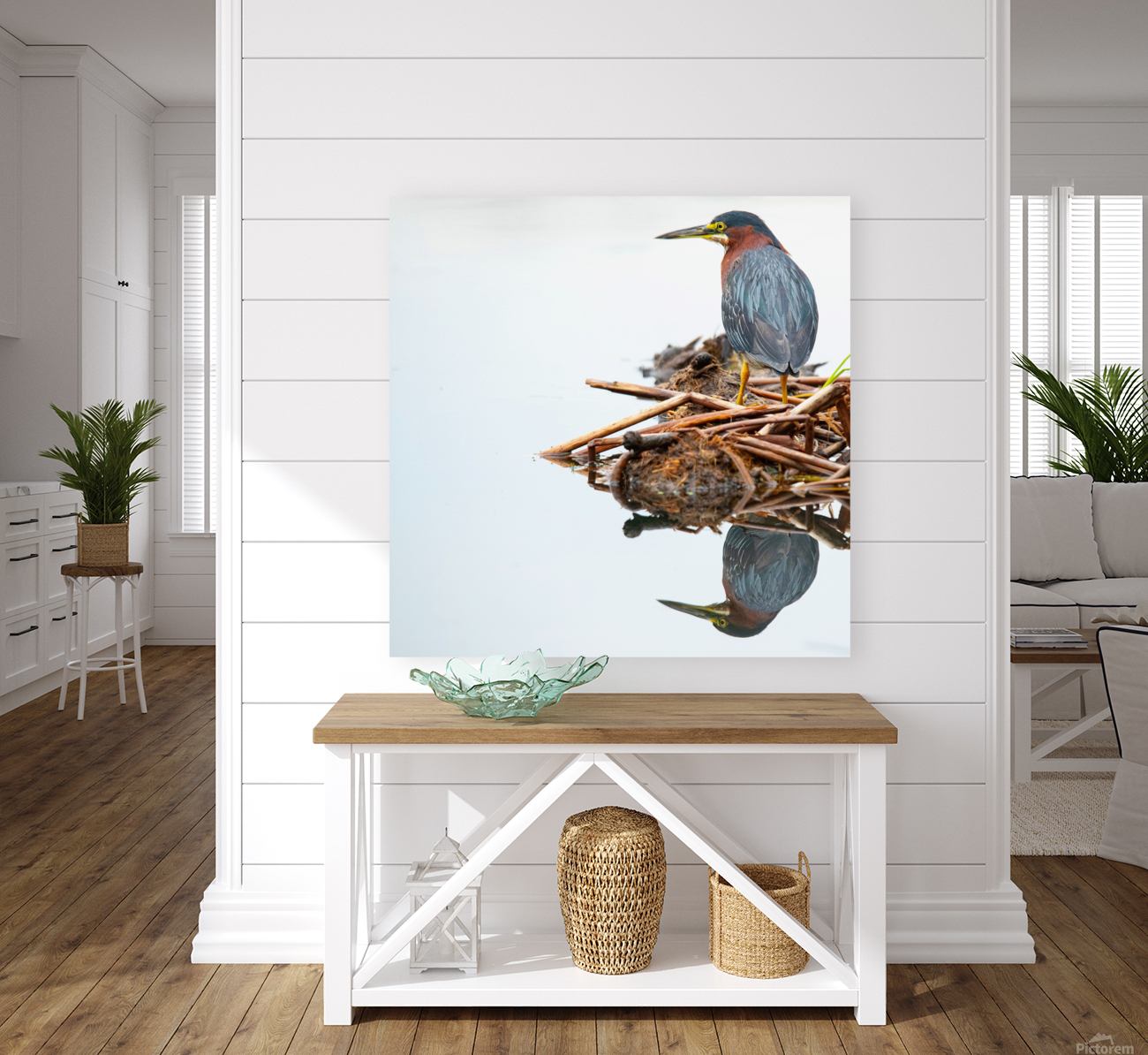 Green Heron Reflection  Reproduction