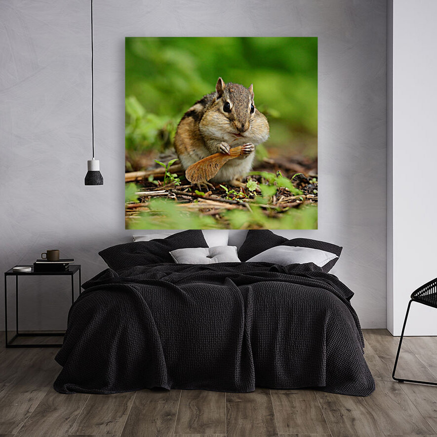Chipmunk. Stuffed. Reproduction