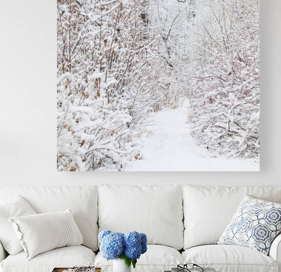 Winter Walkway by Witch