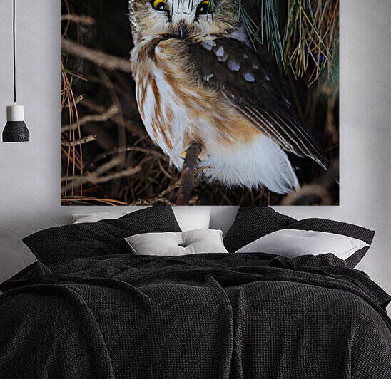 SawWhet Owl by Witch
