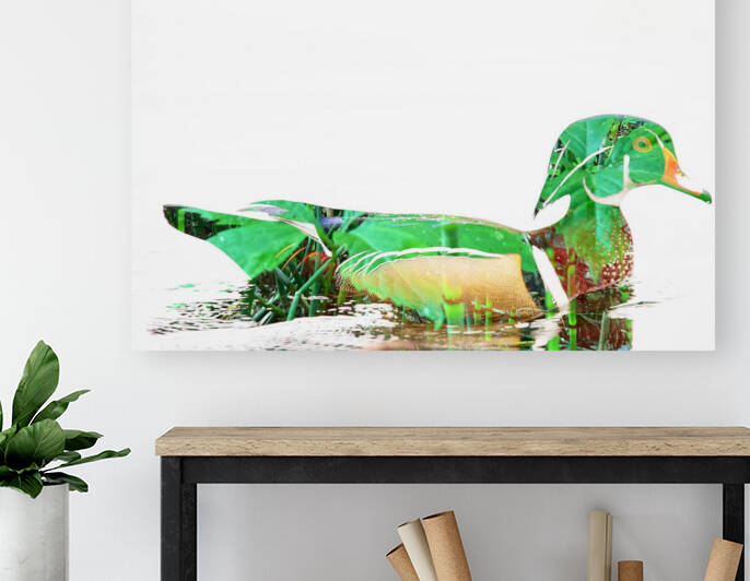 Abstract Woodduck by Witch