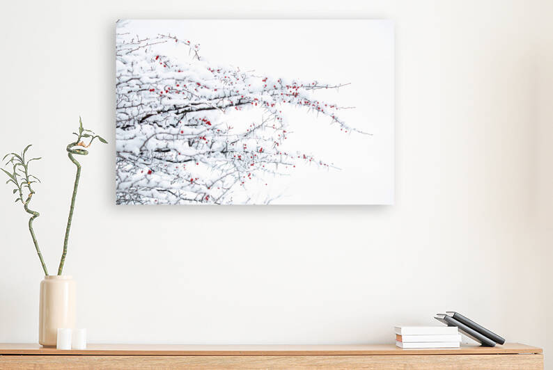 Winter Colors by Witch