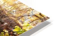 Fall. Minnehaha Falls. HD Metal print