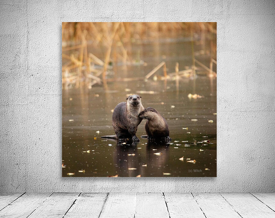 Otterly Love Wall Preview