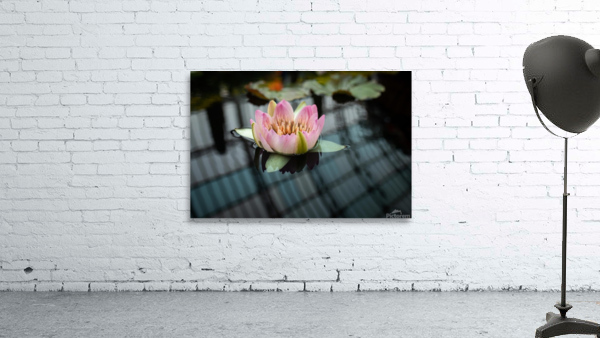 Conservatory Wall Preview