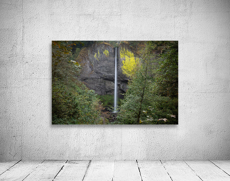 Latourell Falls  Wall Preview