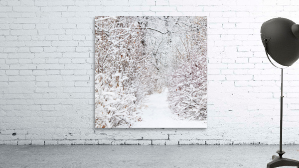 Winter Walkway Wall Preview