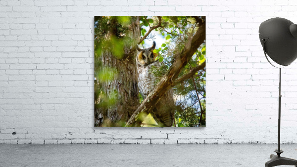Springtime LEOW Wall Preview