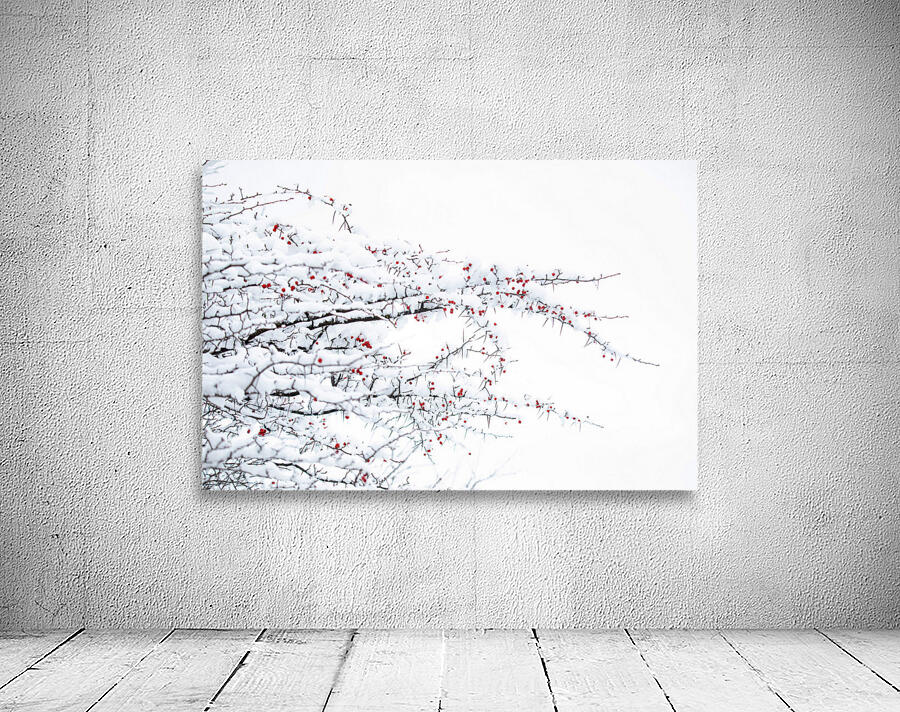 Winter Colors Wall Preview