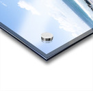 Snapper Pano Acrylic print