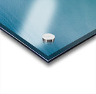 Doplhin Swim Acrylic print