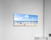 Snapper Pano Acrylic Print