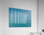 Doplhin Swim Acrylic Print