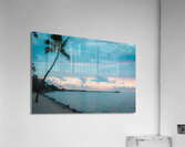 Cheeca Palm Acrylic Print