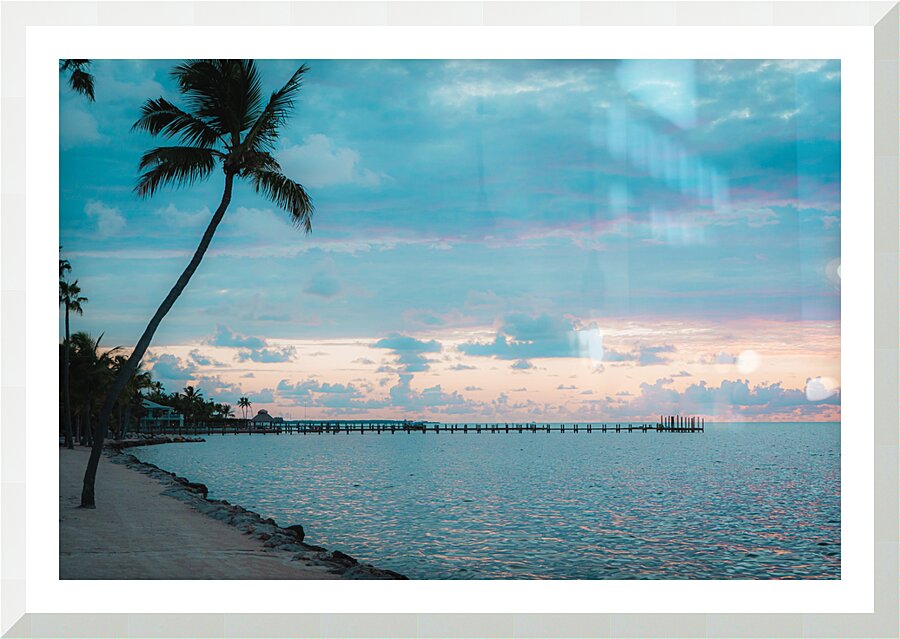 Cheeca Palm Picture Frame print