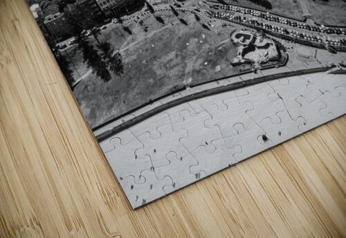 Bondi City view Coastal Palms Media puzzle