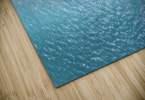 Beach Day Out Coastal Palms Media puzzle