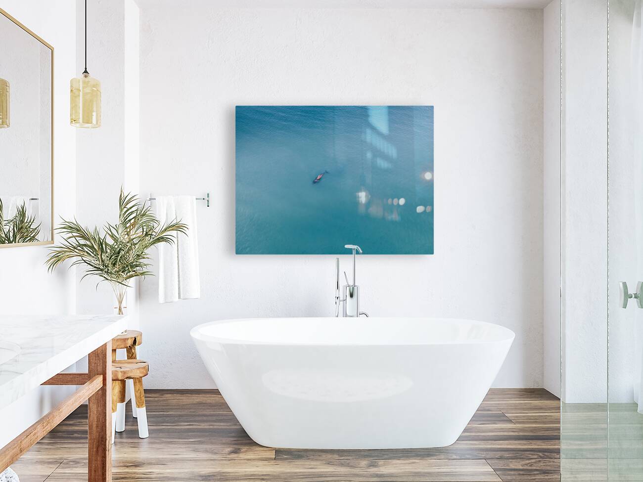 Doplhin Swim Reproduction