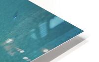 Bondi Sand HD Metal print