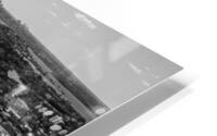 Bondi City view HD Metal print