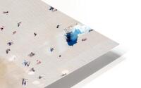 Bondi Bird HD Metal print