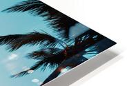 Hamilton Palms HD Metal print