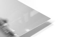 FMB coconut HD Metal print