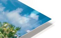 Rayburn Beach HD Metal print