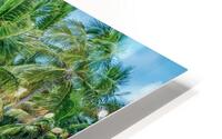 Rayburn Water View HD Metal print