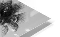 Two Palms HD Metal print