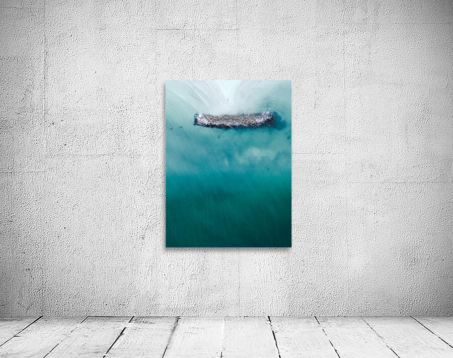 Manatee rocks Wall Preview