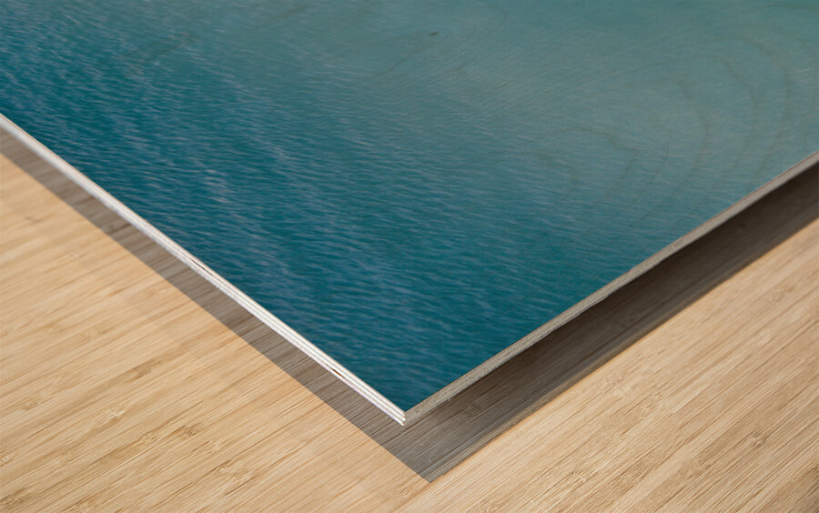 Doplhin Swim Wood print