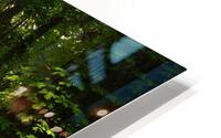 Forest Trail. HD Metal print