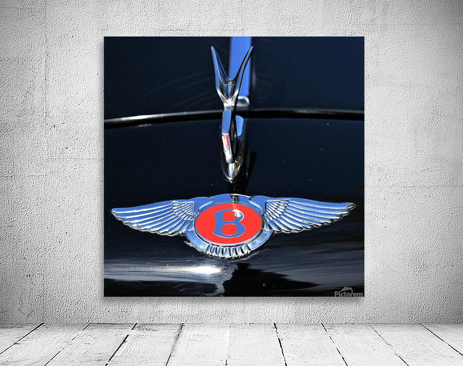 B is for Bentley. Wall Preview