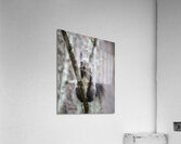 Wild Squirrel eating Acrylic Print