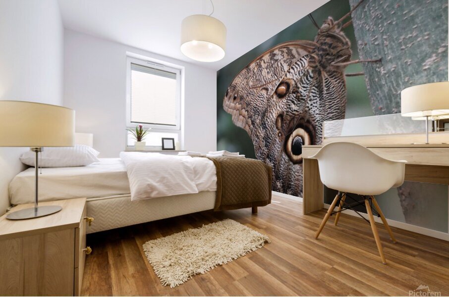Butterfly Mural print