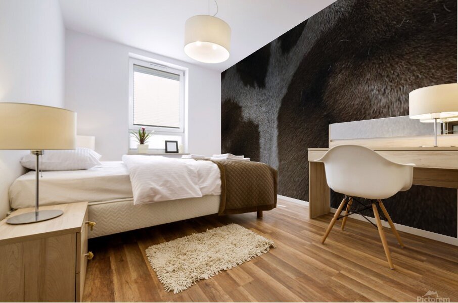 Giraffe texture Mural print