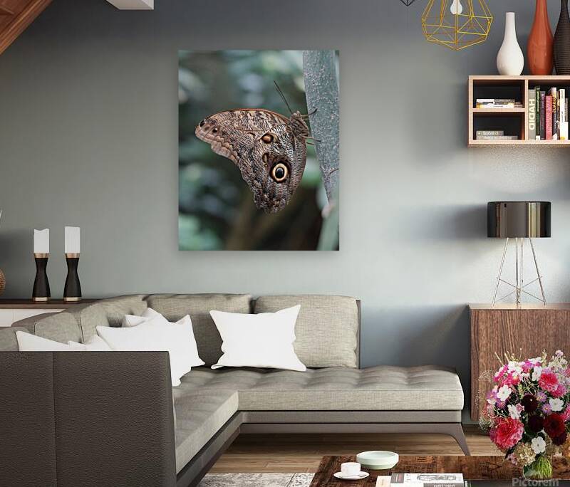 Butterfly Reproduction