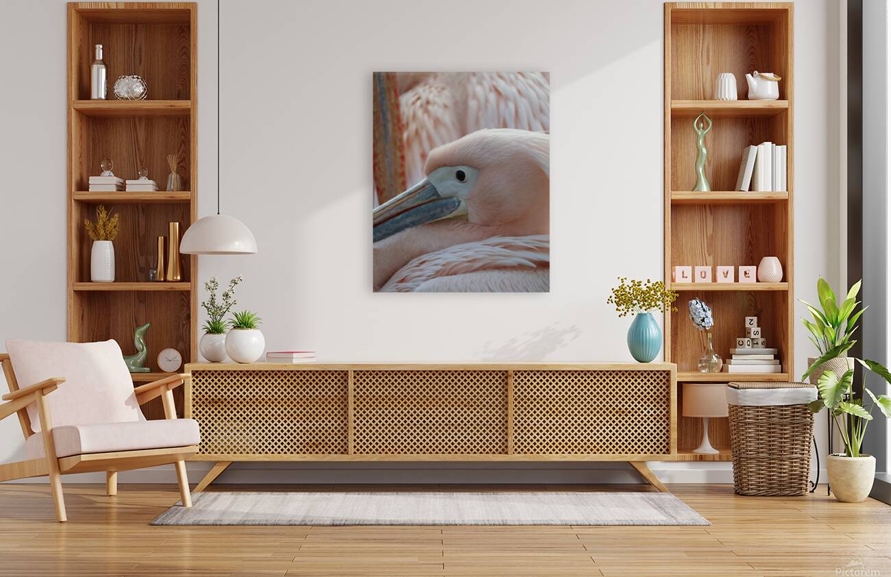Pink bird Reproduction