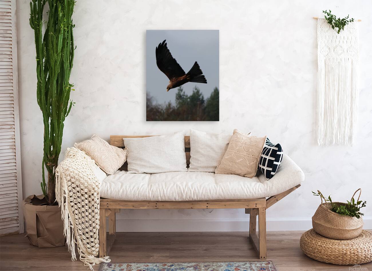 Bird flying Reproduction