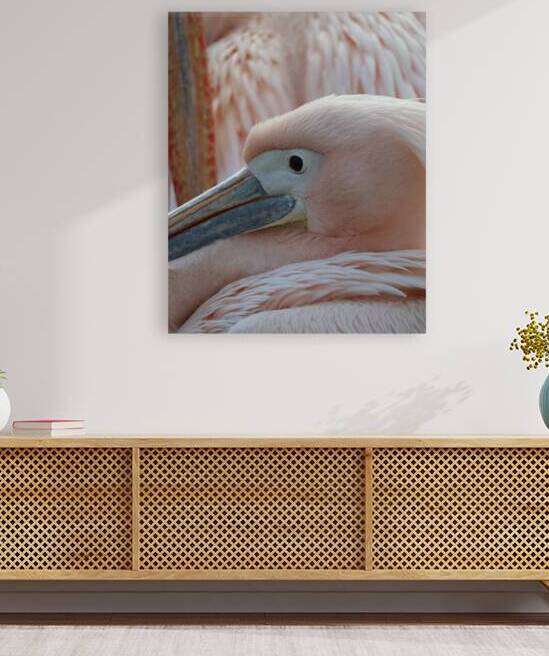 Pink bird by ICI